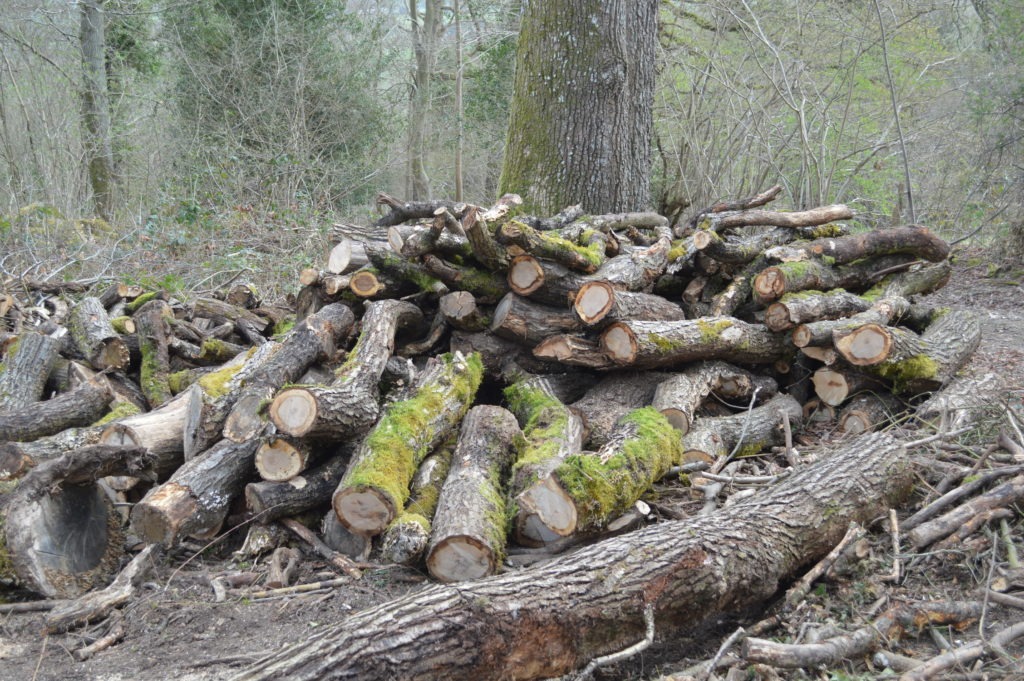 PCW5000 - log pile