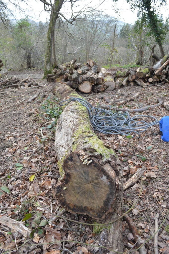 PCW5000 - large log