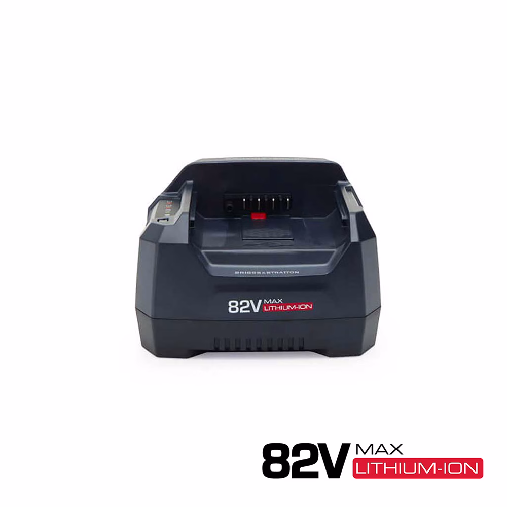Briggs & Stratton 82v Fast Charger (PCA-0231)