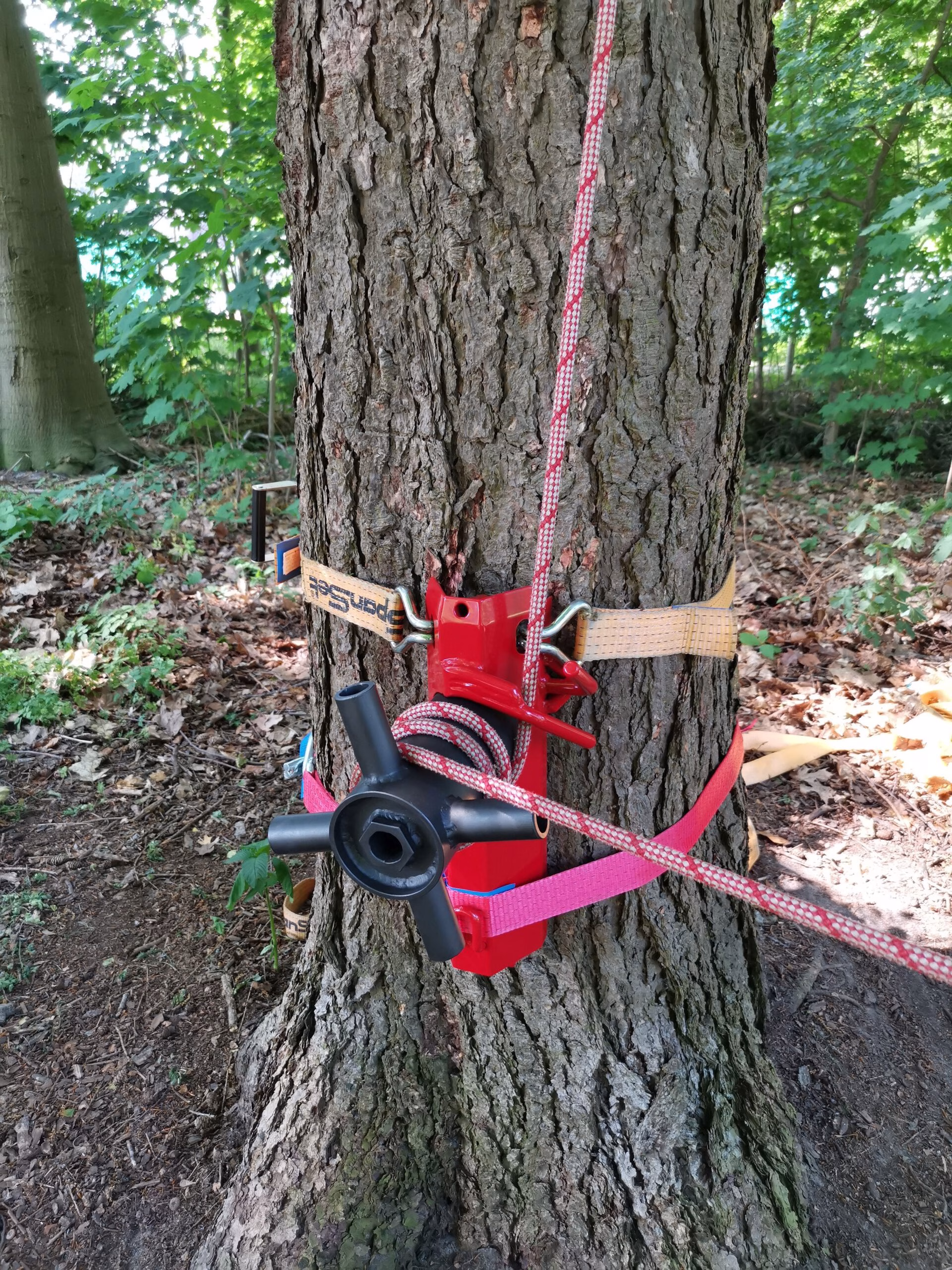 EDER daWinchi rigging bollard mounted on tree
